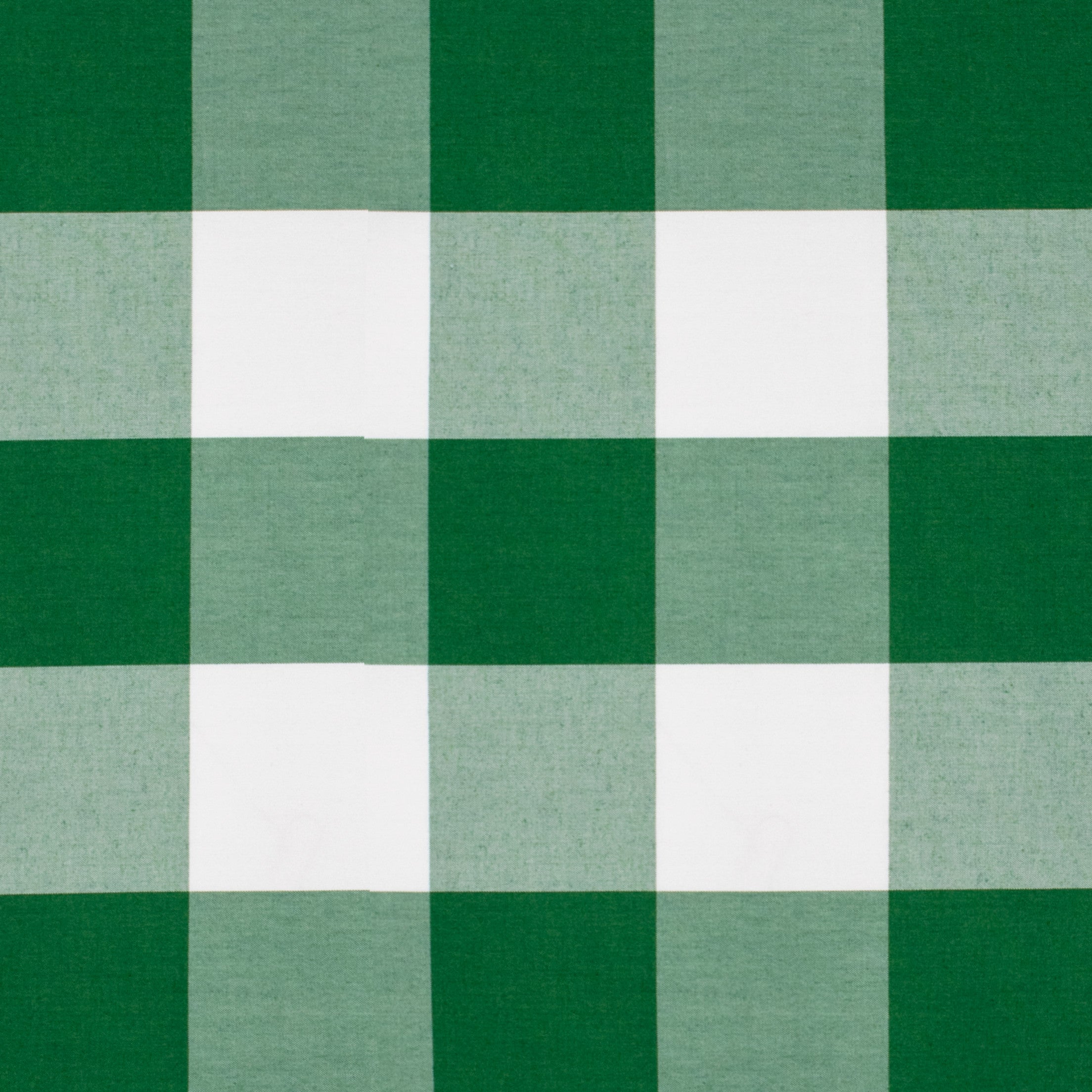 Detailed texture of Greenhouse Fabrics fabric for premium interior decor.