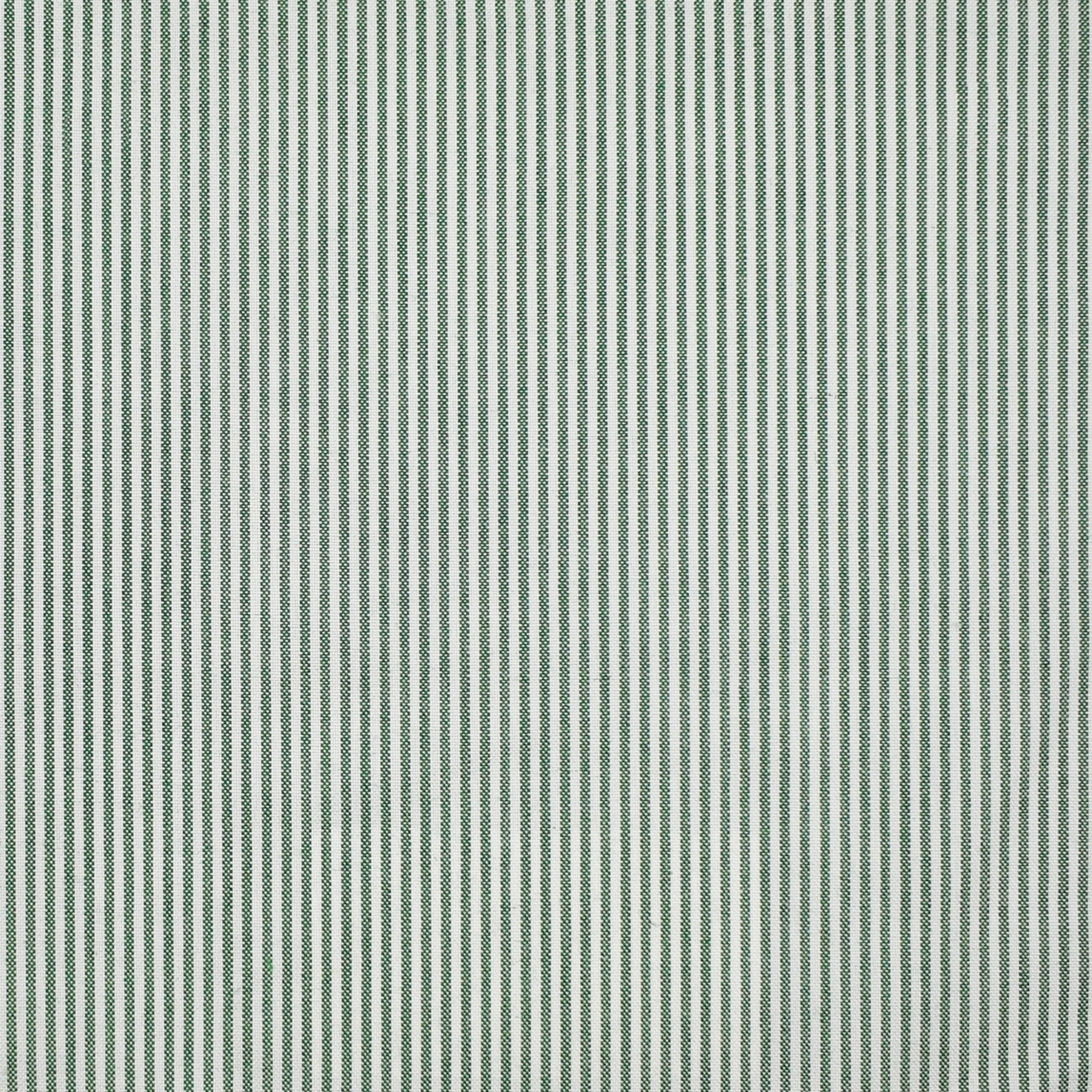 Greenhouse Fabrics fabric displayed for sophisticated decor ideas.