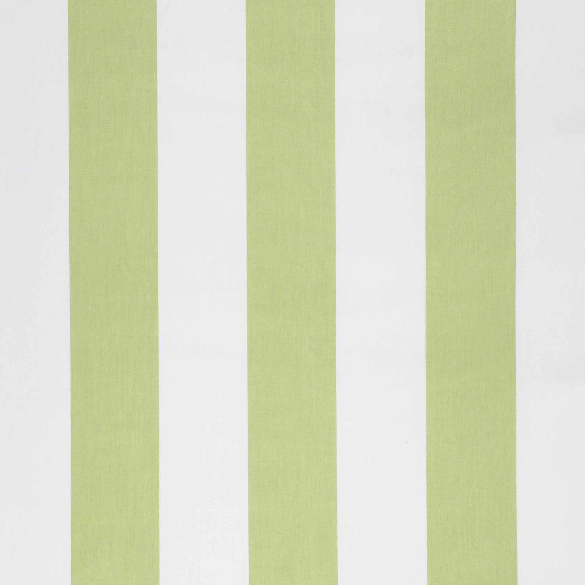 High-quality Greenhouse Fabrics fabric showcasing elegance and durability.