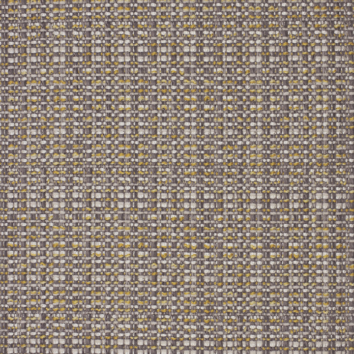 High-quality Greenhouse Fabrics fabric, perfect for custom upholstery and design.