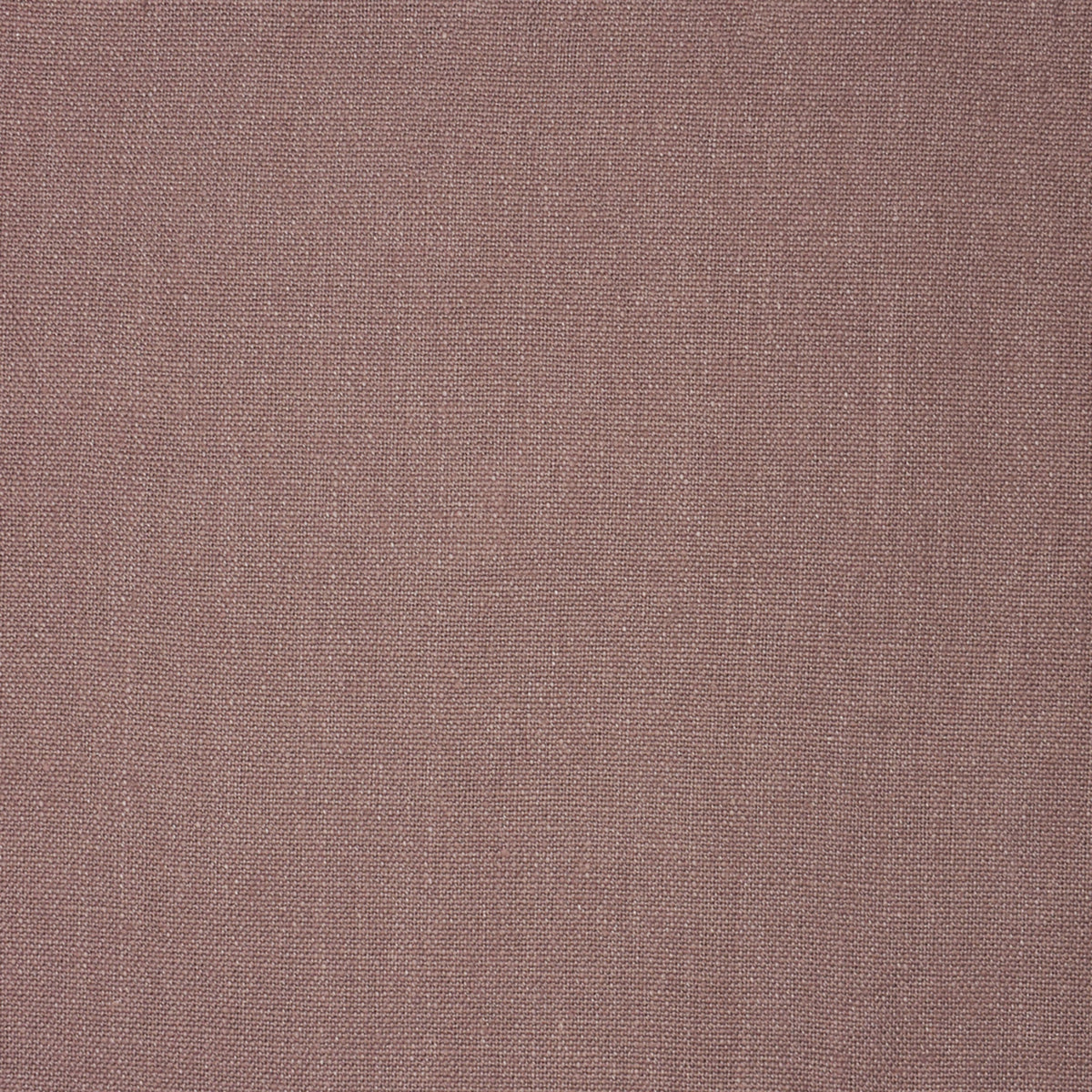 High-quality Greenhouse Fabrics fabric, perfect for custom upholstery and design.