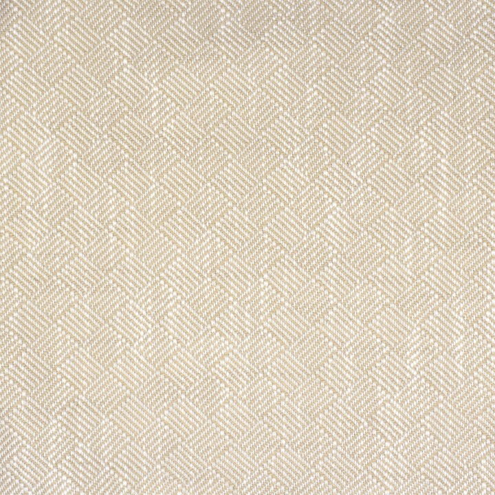 Greenhouse Fabrics S2127 Seasalt neutral outdoor fabric swatch