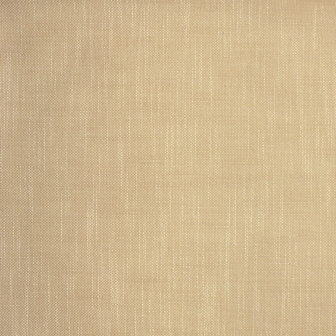 Greenhouse Fabrics S2135 Latte neutral outdoor fabric swatch
