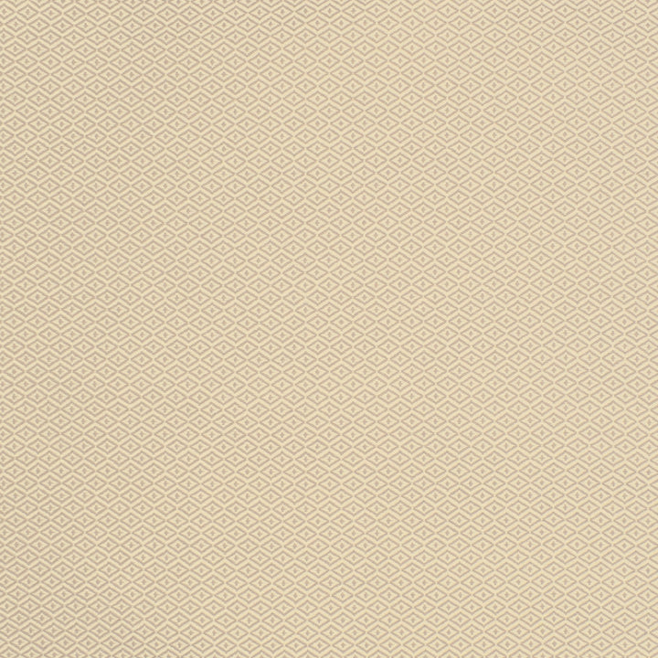 Greenhouse Fabrics S2139 Chai neutral outdoor fabric swatch
