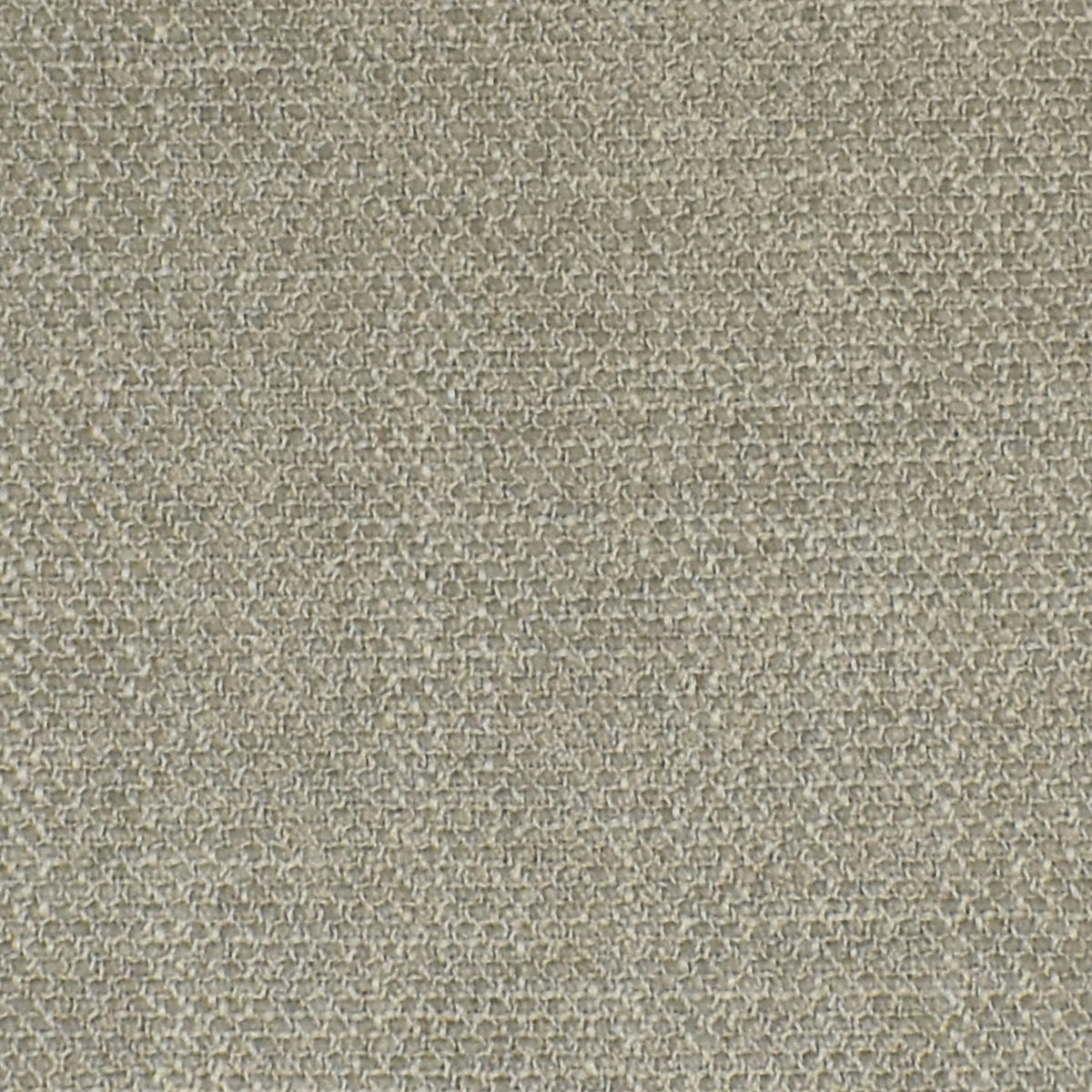 High-quality Greenhouse Fabrics fabric, perfect for custom upholstery and design.