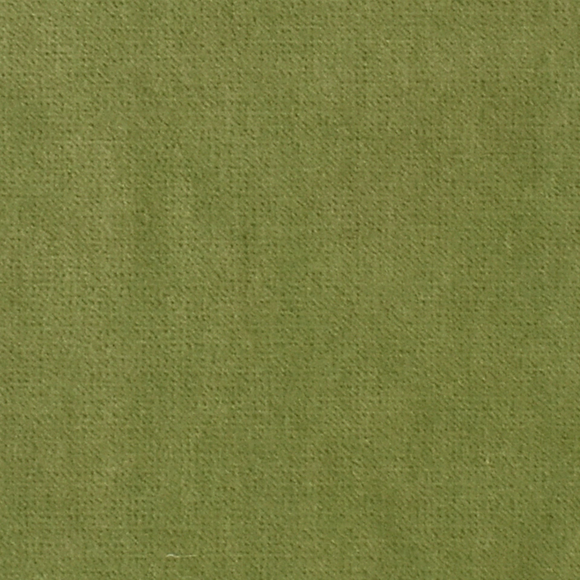 Greenhouse Fabrics fabric displayed for sophisticated decor ideas.