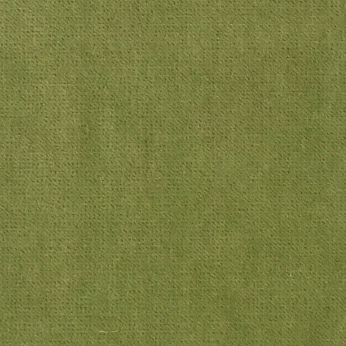 Greenhouse Fabrics fabric displayed for sophisticated decor ideas.