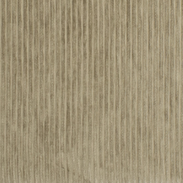 High-quality Greenhouse Fabrics fabric, perfect for custom upholstery and design.