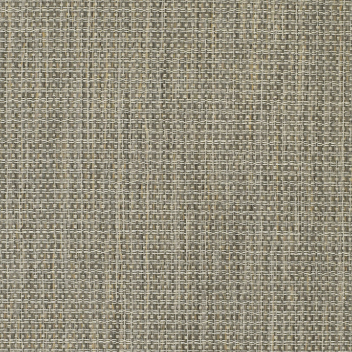 Versatile S3724 Chrome fabric designed for elegant and durable decor.