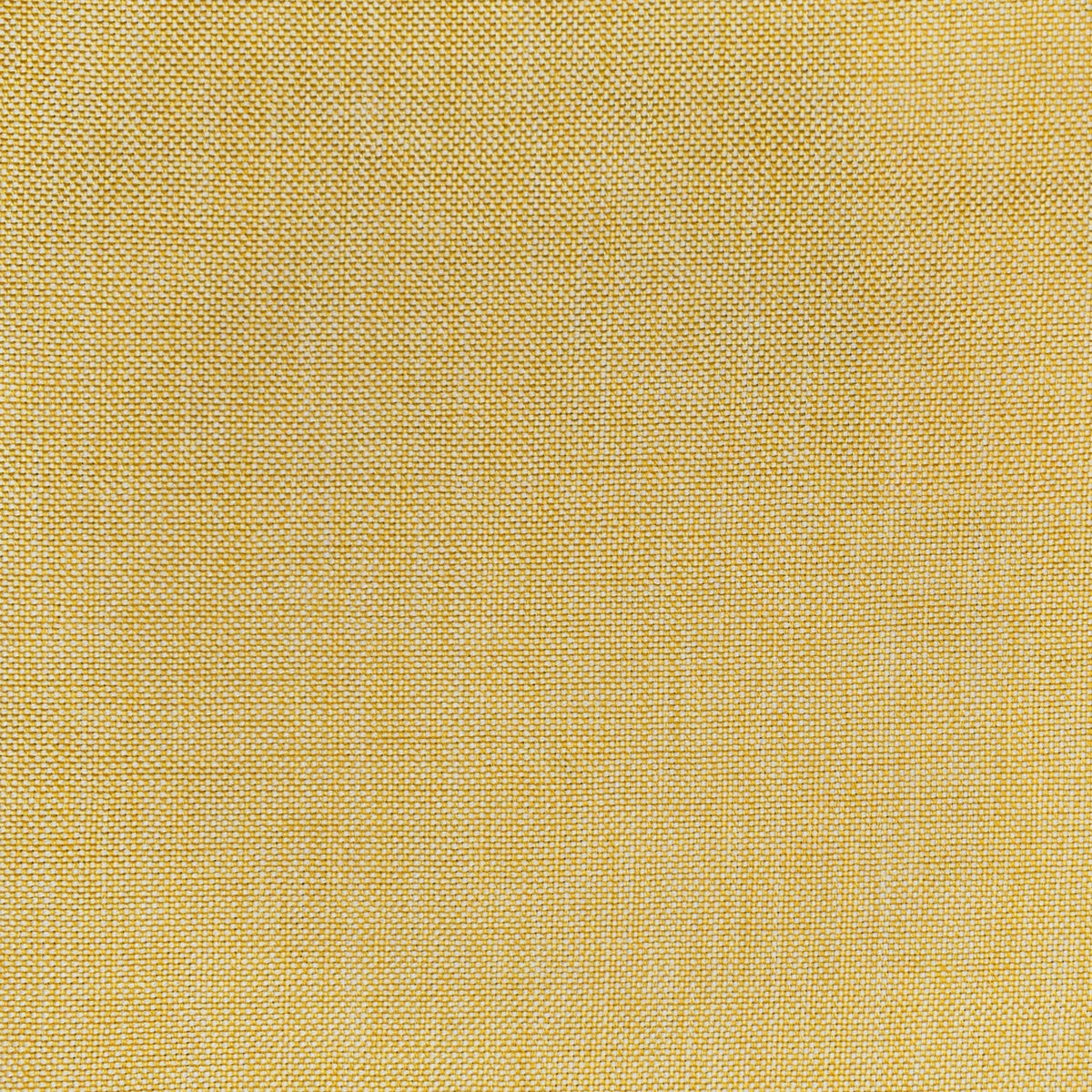 Detailed texture of Greenhouse Fabrics fabric for premium interior decor.