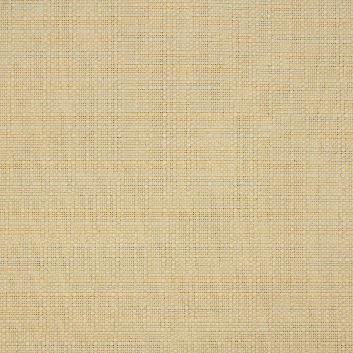 Luxurious Greenhouse Fabrics fabric close-up for enhanced home aesthetics.