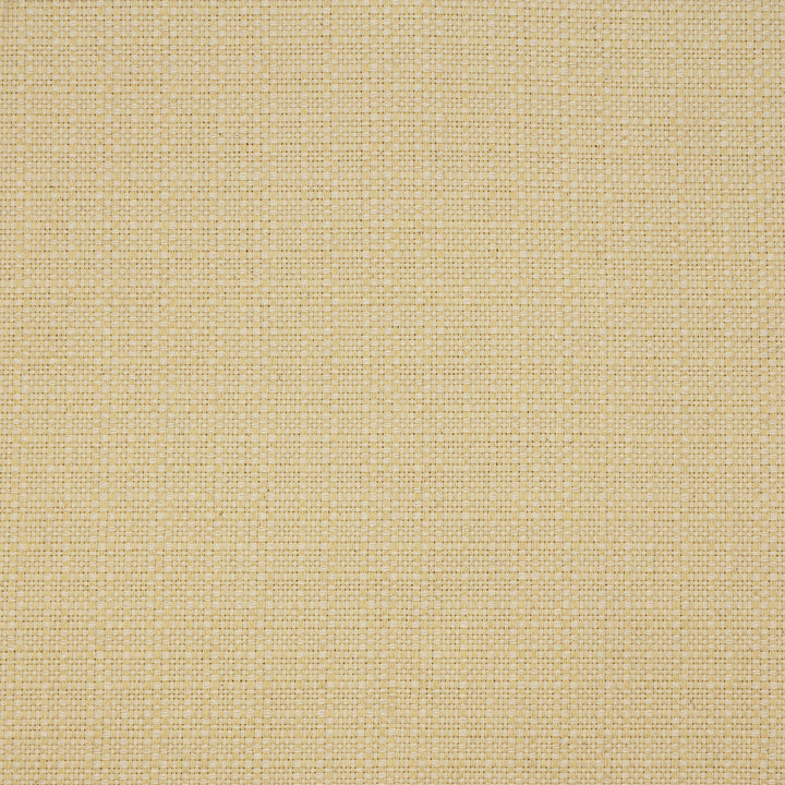 Luxurious Greenhouse Fabrics fabric close-up for enhanced home aesthetics.