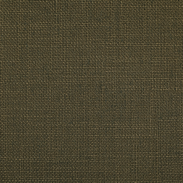 Detailed texture of Greenhouse Fabrics fabric for premium interior decor.