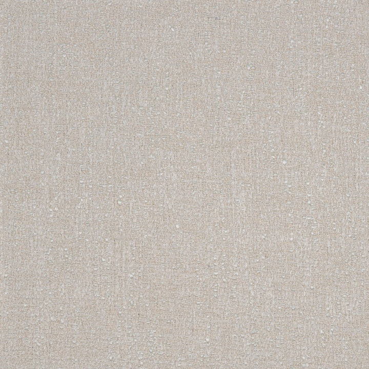 Versatile S4280 Rice fabric designed for elegant and durable decor.