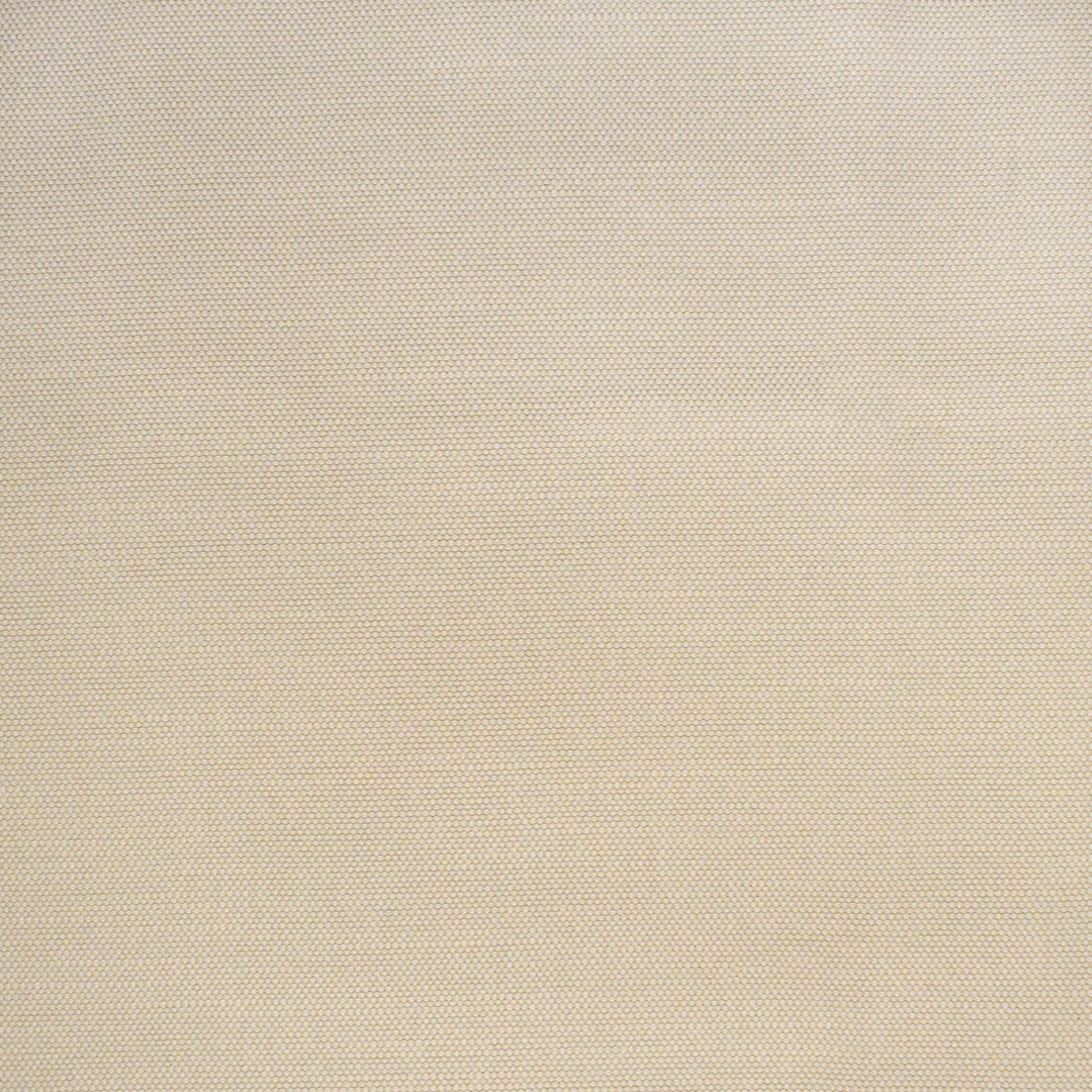 Greenhouse Fabrics S4424 Pearl neutral outdoor fabric swatch