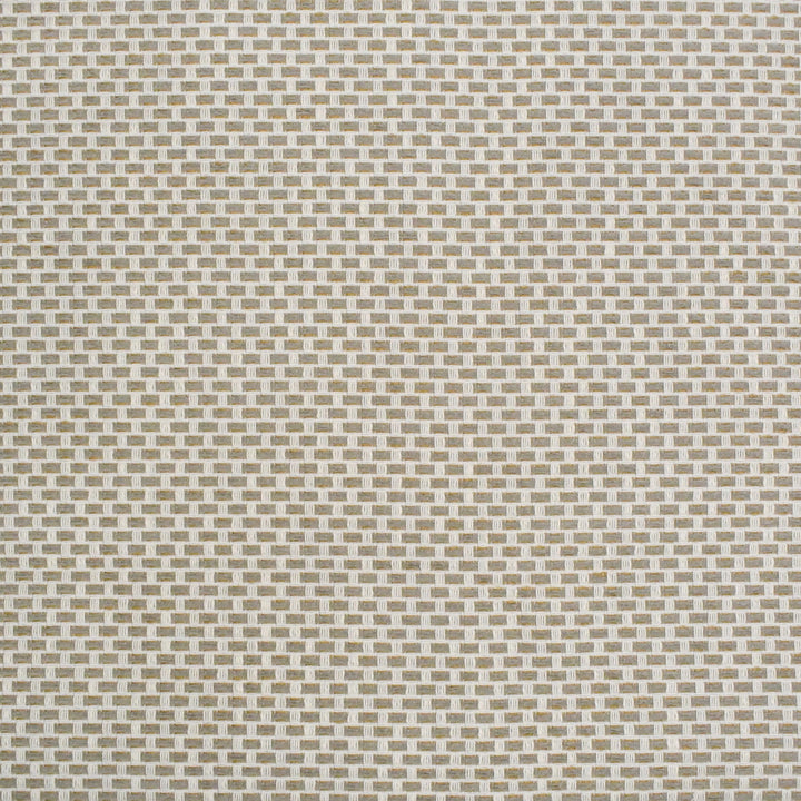 Greenhouse Fabrics S4439 Birch neutral outdoor fabric swatch