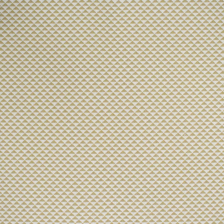 Greenhouse Fabrics S4449 Biscotti neutral outdoor fabric swatch