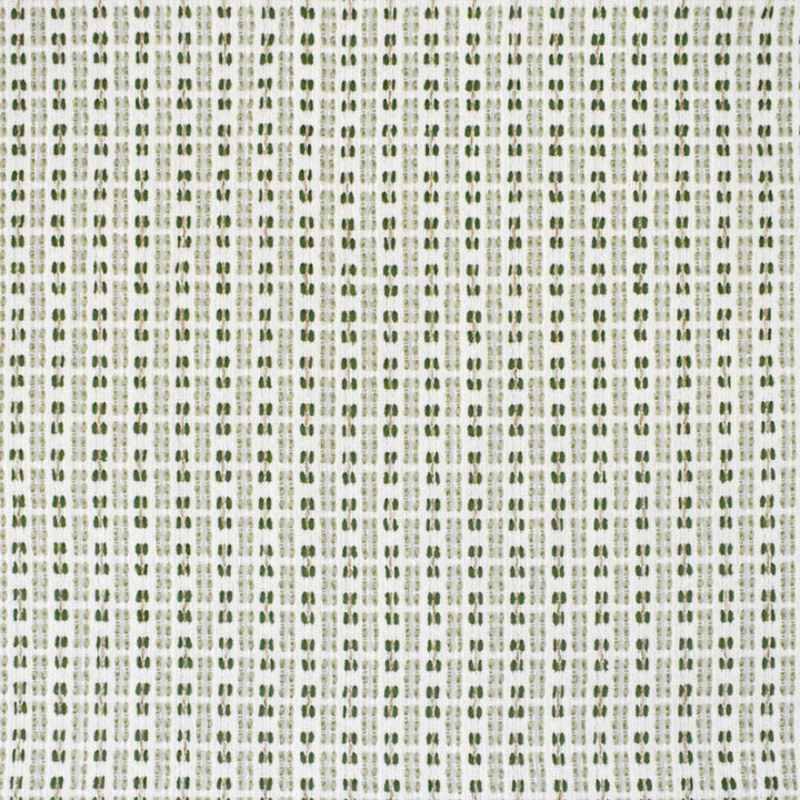 Detailed texture of Greenhouse Fabrics fabric for premium interior decor.