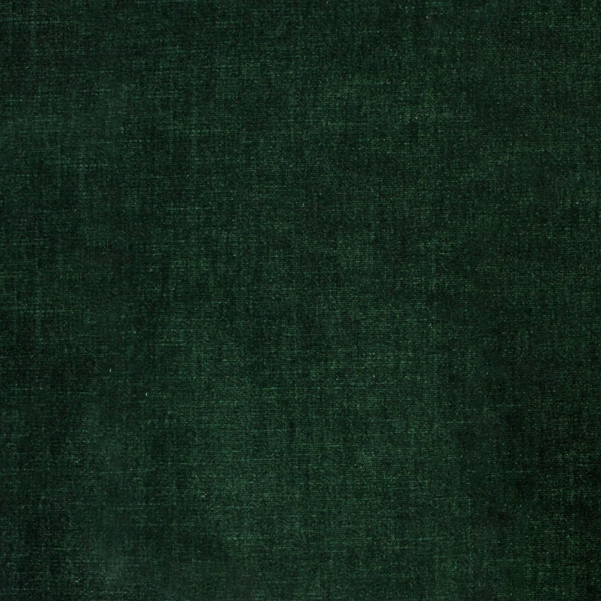 Detailed texture of Greenhouse Fabrics fabric for premium interior decor.
