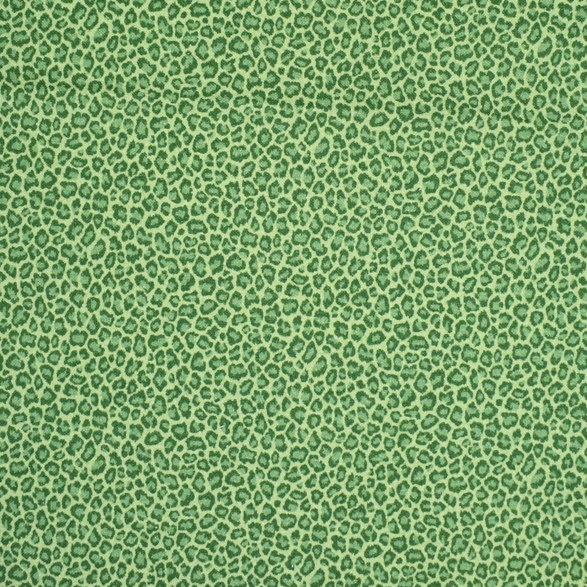 Greenhouse Fabrics fabric displayed for sophisticated decor ideas.