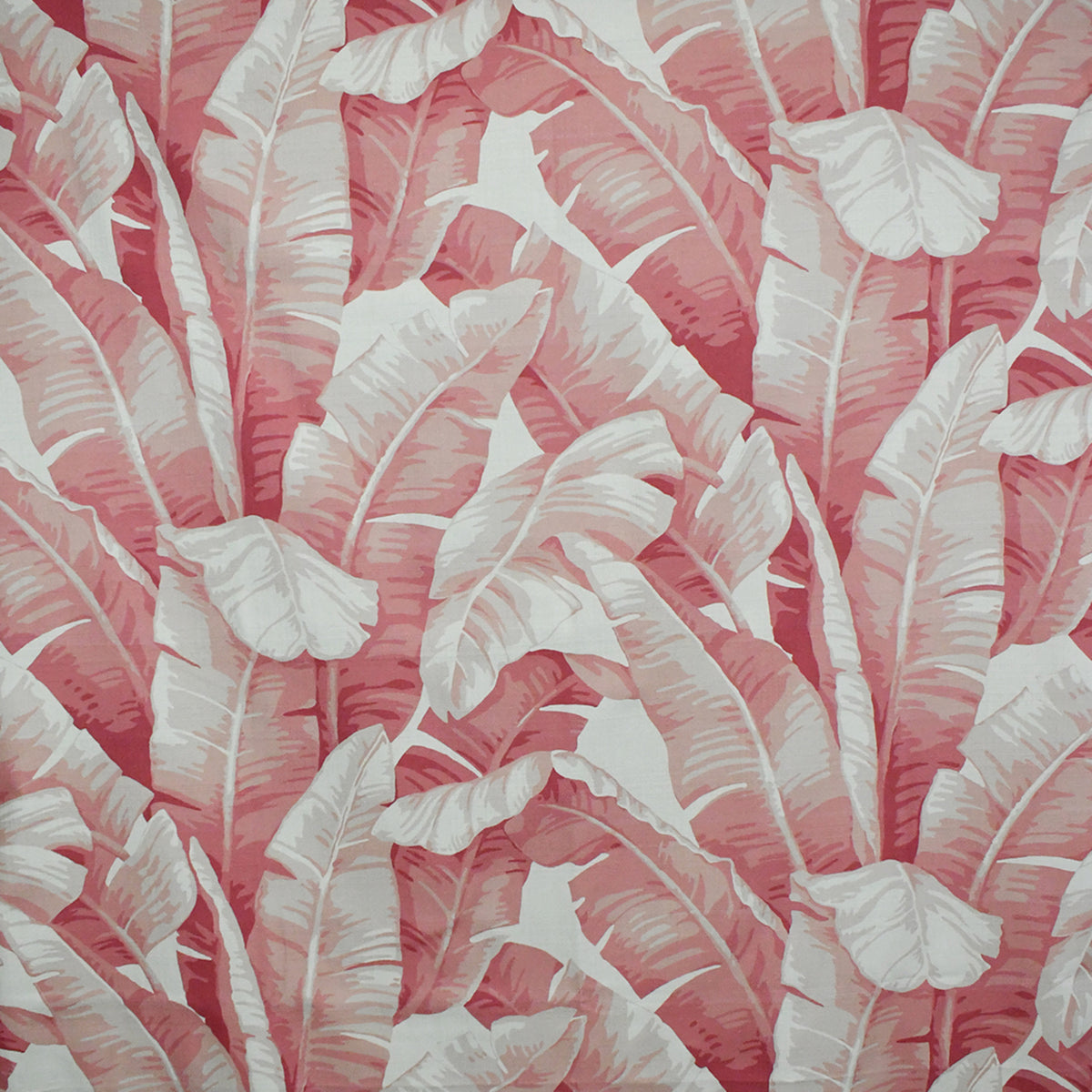High-quality Greenhouse Fabrics fabric showcasing elegance and durability.