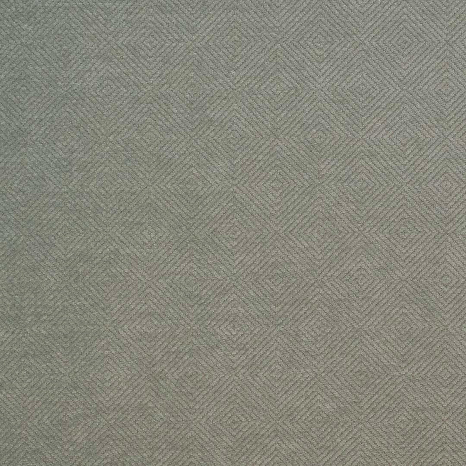 Greenhouse Fabrics fabric displayed for sophisticated decor ideas.