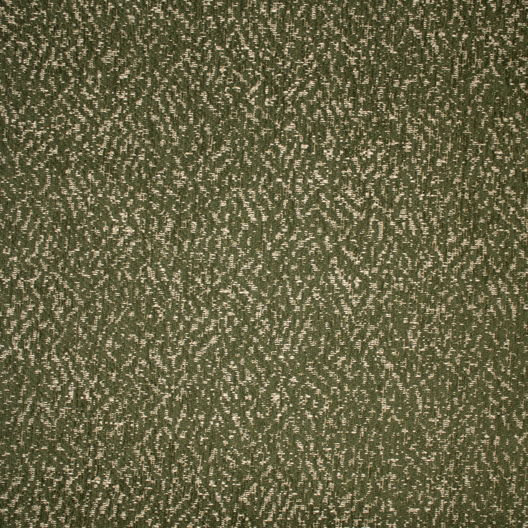 Greenhouse Fabrics fabric displayed for sophisticated decor ideas.