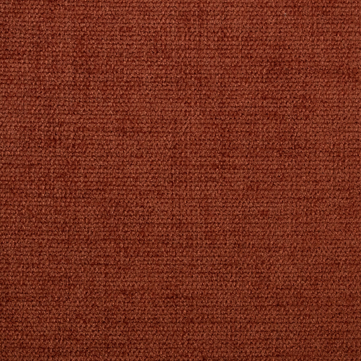 Close-up showcasing the texture of Greenhouse Fabrics fabric, ideal for interior design.