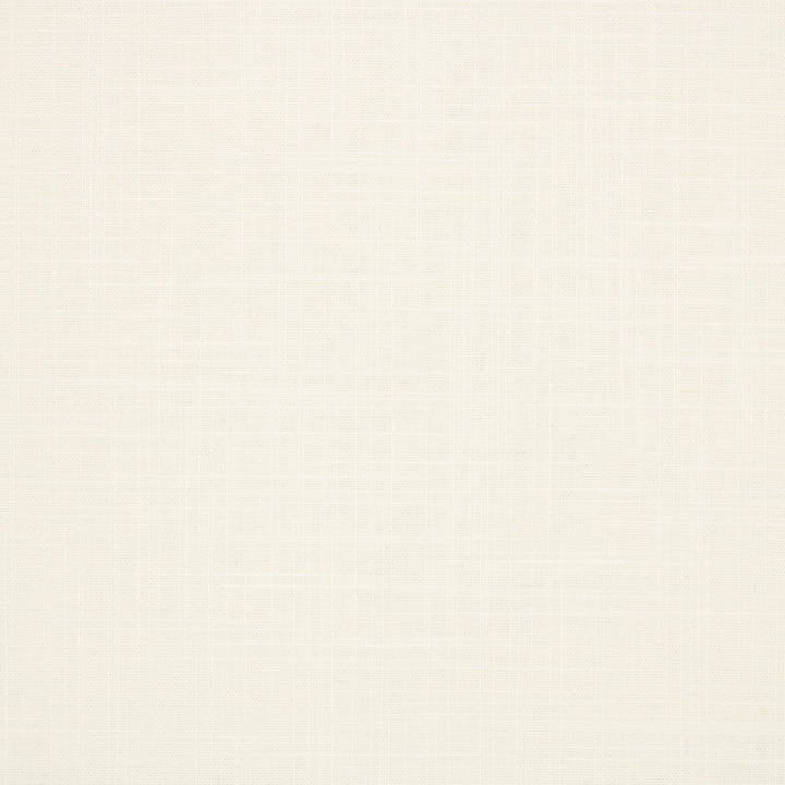Versatile S6542 Optic White fabric designed for refined and durable decor.