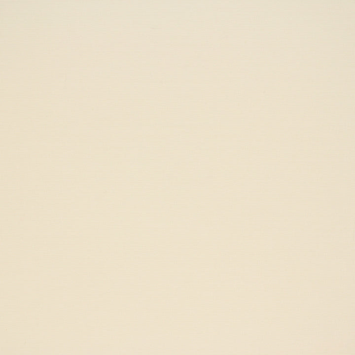 Versatile S6545 Parchment fabric designed for refined and durable decor.