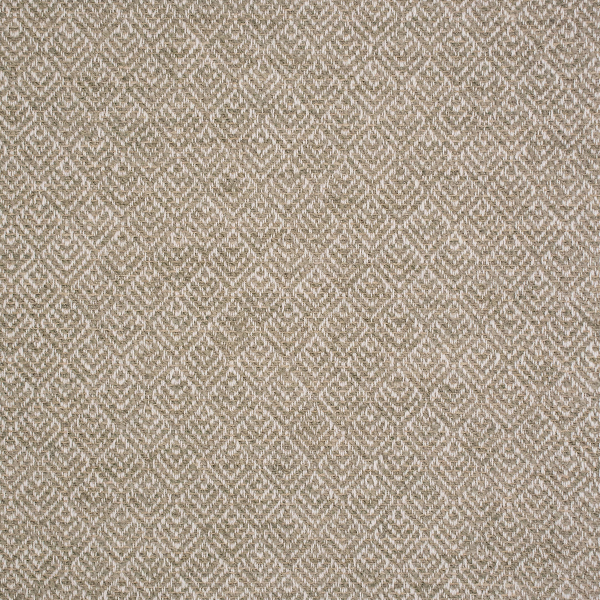 Close-up of Greenhouse Fabrics fabric, perfect for upholstery and home projects.