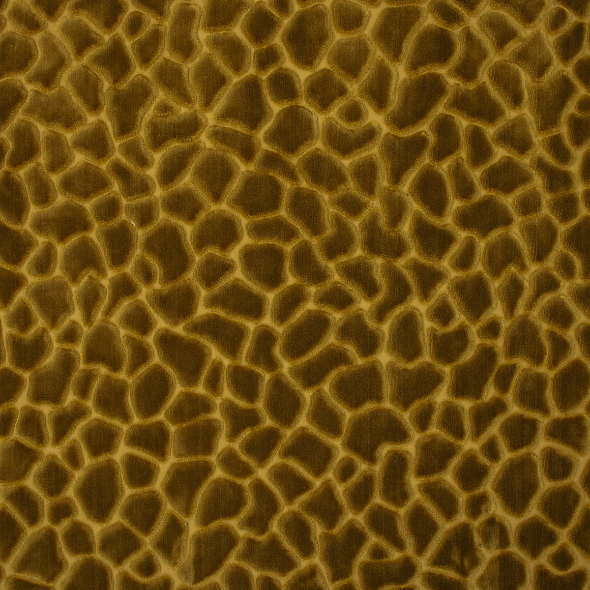 Close-up of Greenhouse Fabrics fabric, perfect for upholstery and home projects.