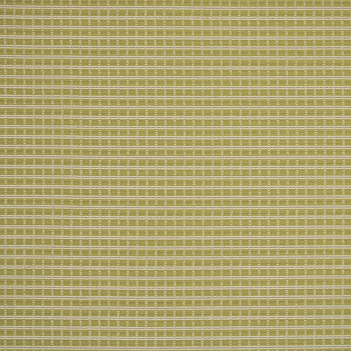 Detailed texture of Greenhouse Fabrics fabric for premium interior decor.