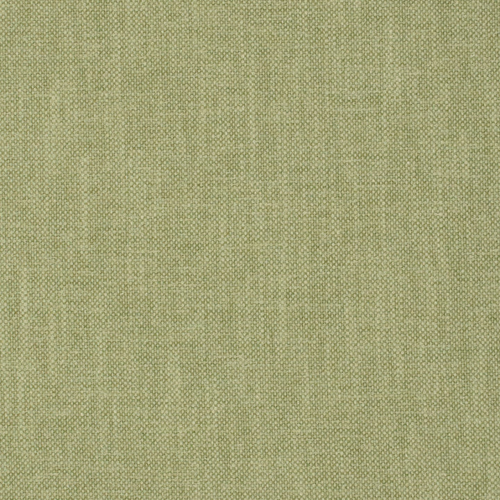 Greenhouse Fabrics S7919 Aloe green multipurpose fabric swatch