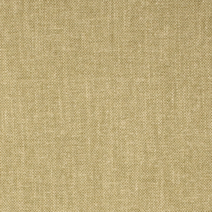 Greenhouse Fabrics S7921 Sage green multipurpose fabric swatch