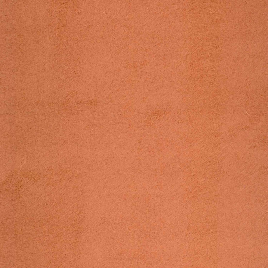 Greenhouse Fabrics S8024 Cinder orange multipurpose fabric swatch