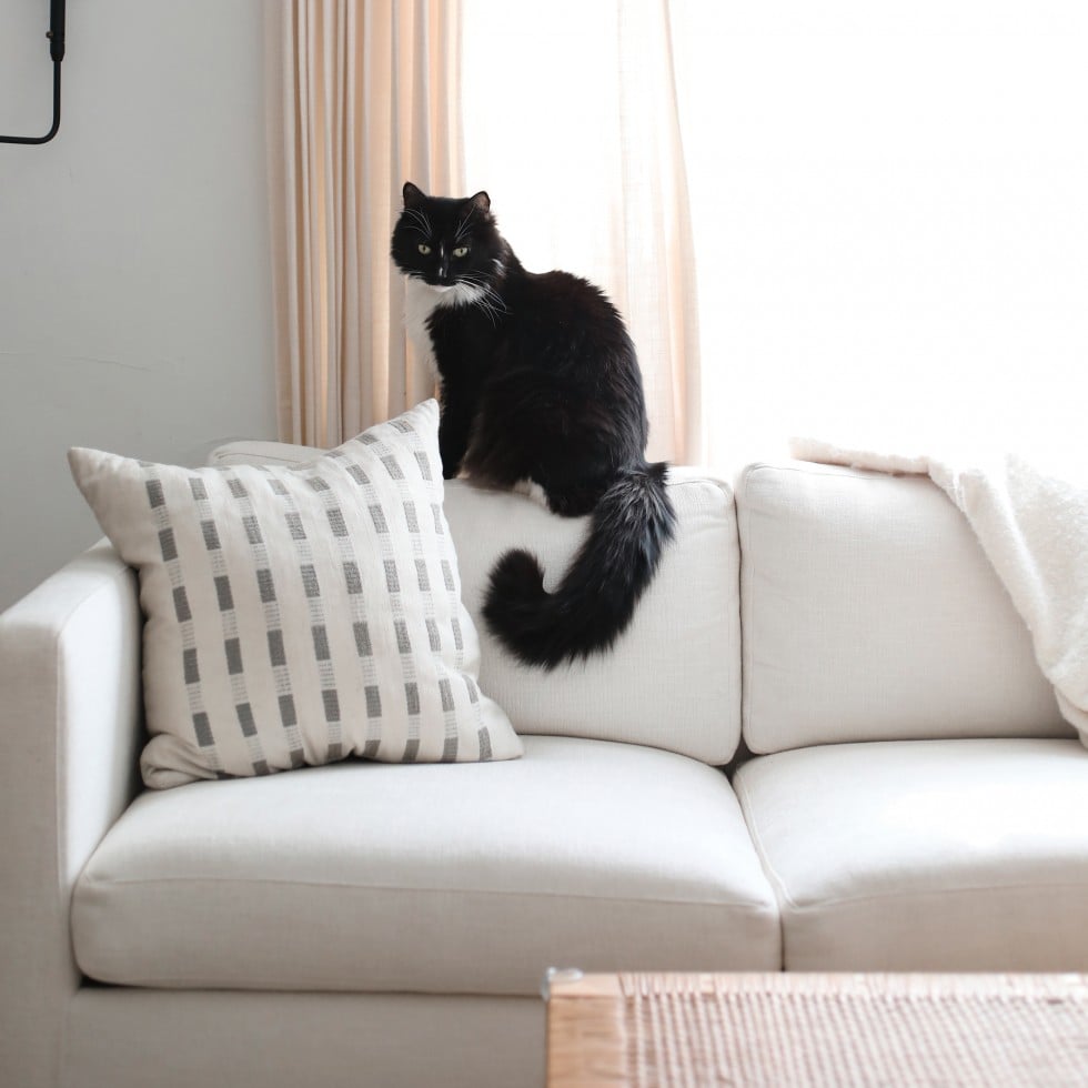 black upholstery fabric swatch