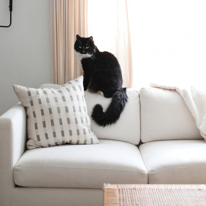 black upholstery fabric swatch