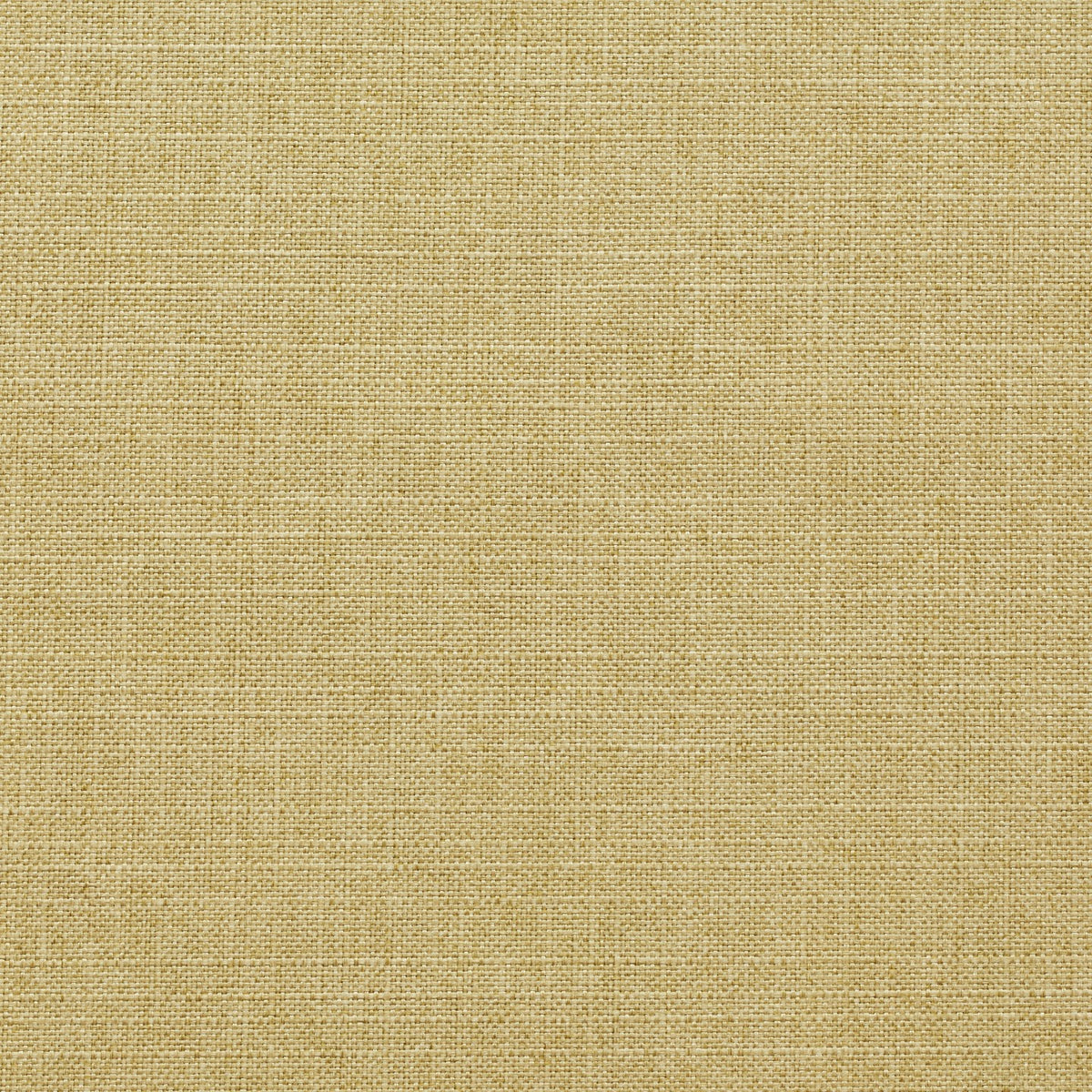 green upholstery fabric swatch