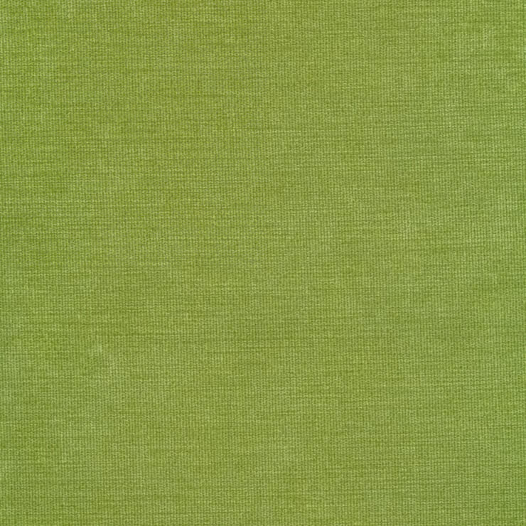 green upholstery fabric swatch