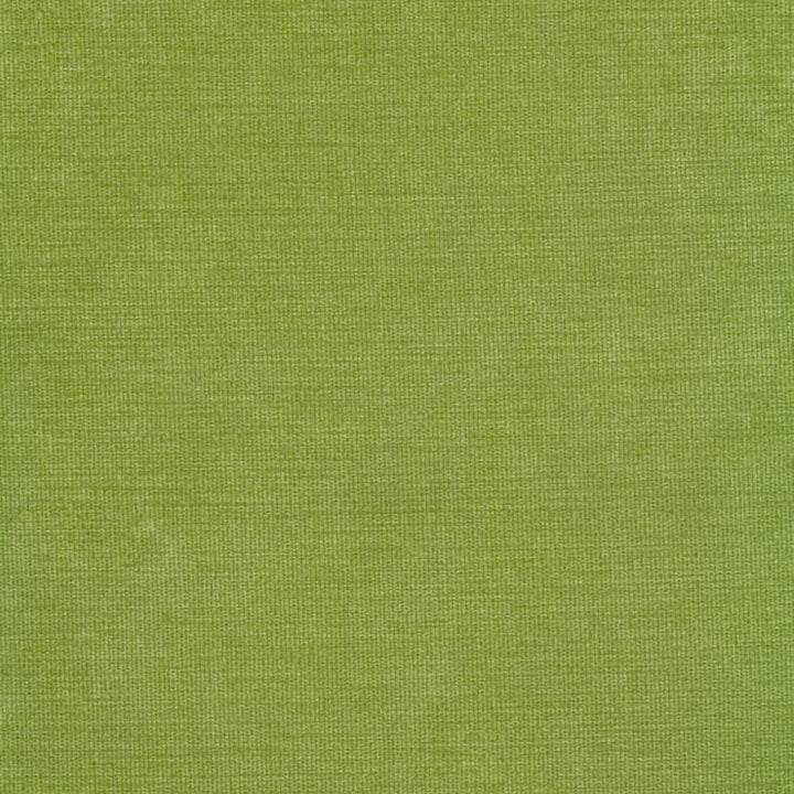 green upholstery fabric swatch