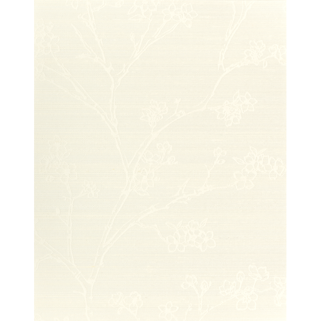 WINFIELD THYBONY CLASSIC ELEGANCE KAISA - SUGAR WNS5509.WT.0