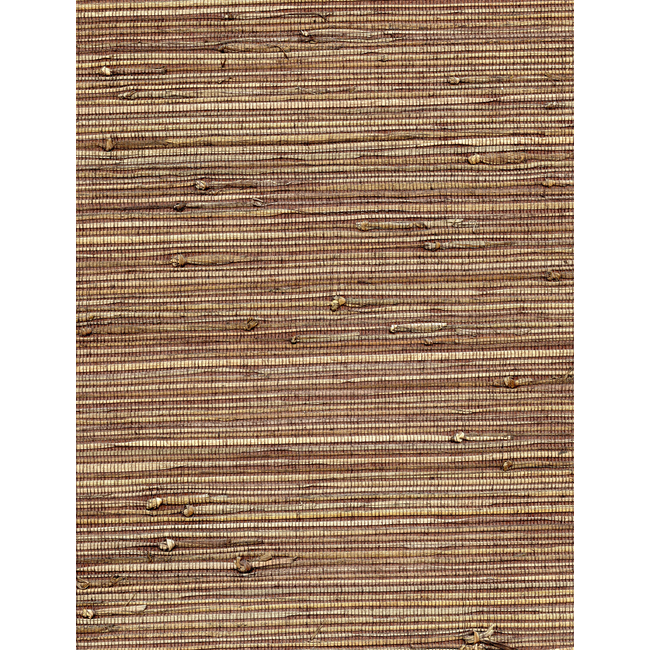 WINFIELD THYBONY CONCERTO - STONEWASHED WNW2264.WT.0