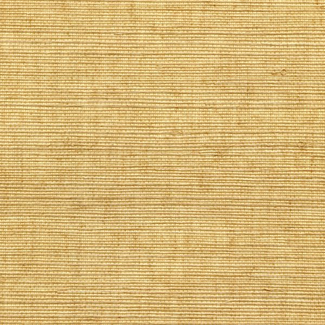 WINFIELD THYBONY SIMPLY SISAL SISAL - BRUSH WSS4536.WT.0
