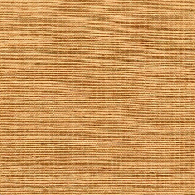 WINFIELD THYBONY SIMPLY SISAL SISAL - ECRU WSS4540.WT.0