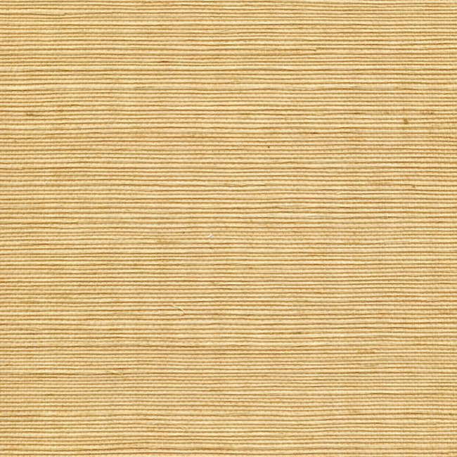 WINFIELD THYBONY SIMPLY SISAL SISAL - MUSTARD WSS4524.WT.0