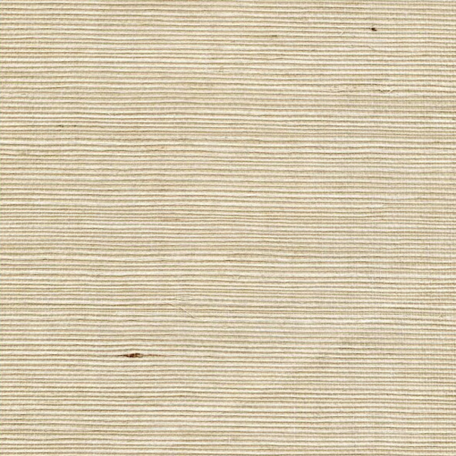 WINFIELD THYBONY SIMPLY SISAL SISAL - SPEARMINT WSS4552.WT.0