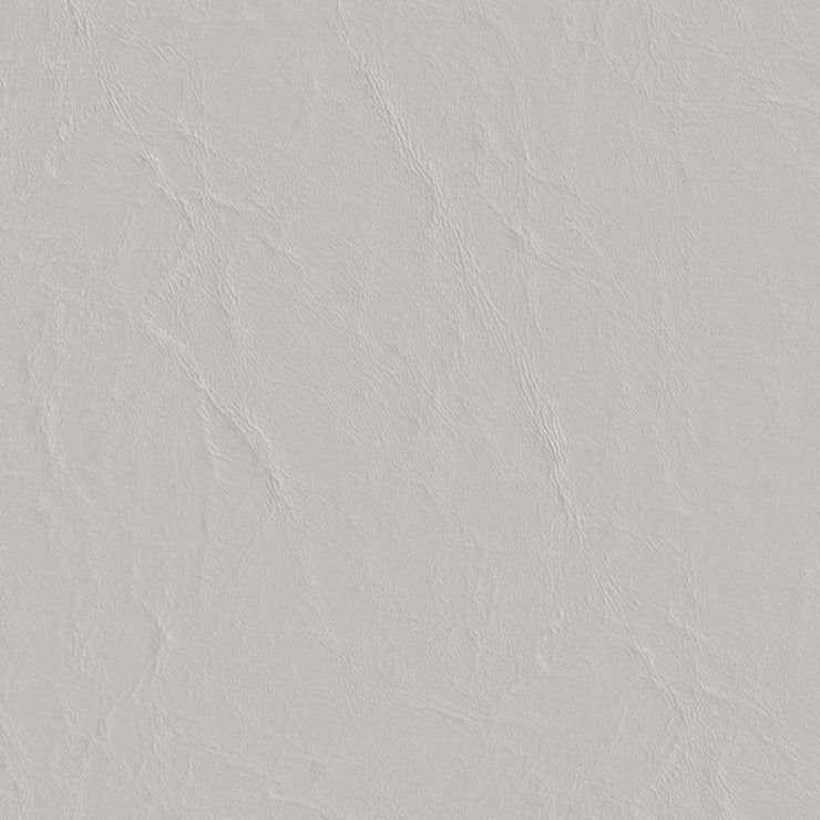 Square sml poseidon 28 elephant.jpg