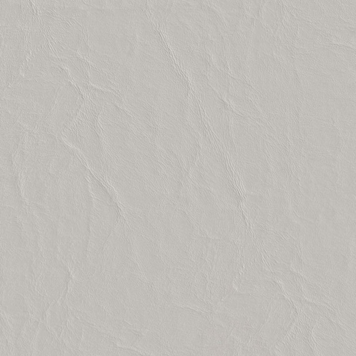 Square sml poseidon 28 elephant.jpg