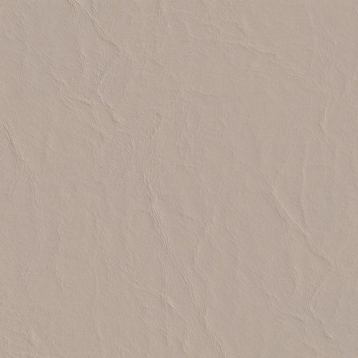 Square sml poseidon 42 fossil.jpg